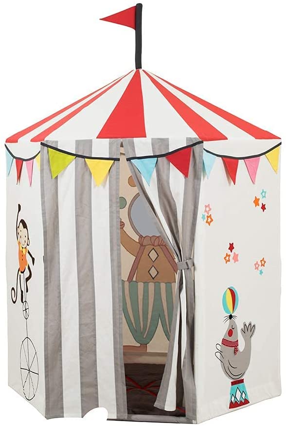 51-u51ipDyL._AC_SL1000_