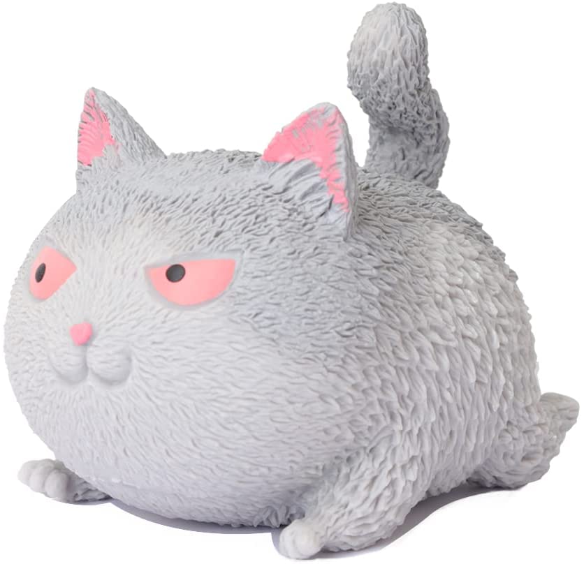 510nVH8Sl0L._AC_SL1000_