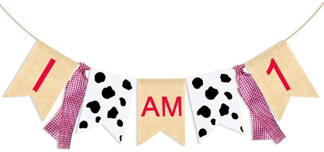 51V6JCxSKEL._AC_SL1100_