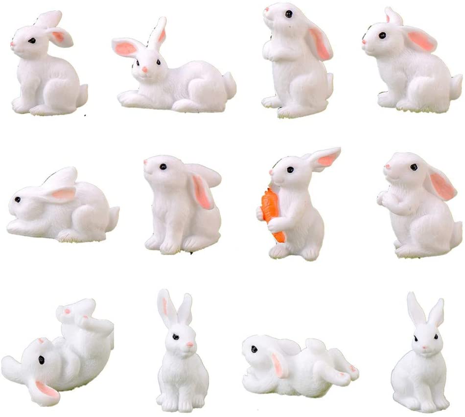 51kLOEcvd3L._AC_SL1000_