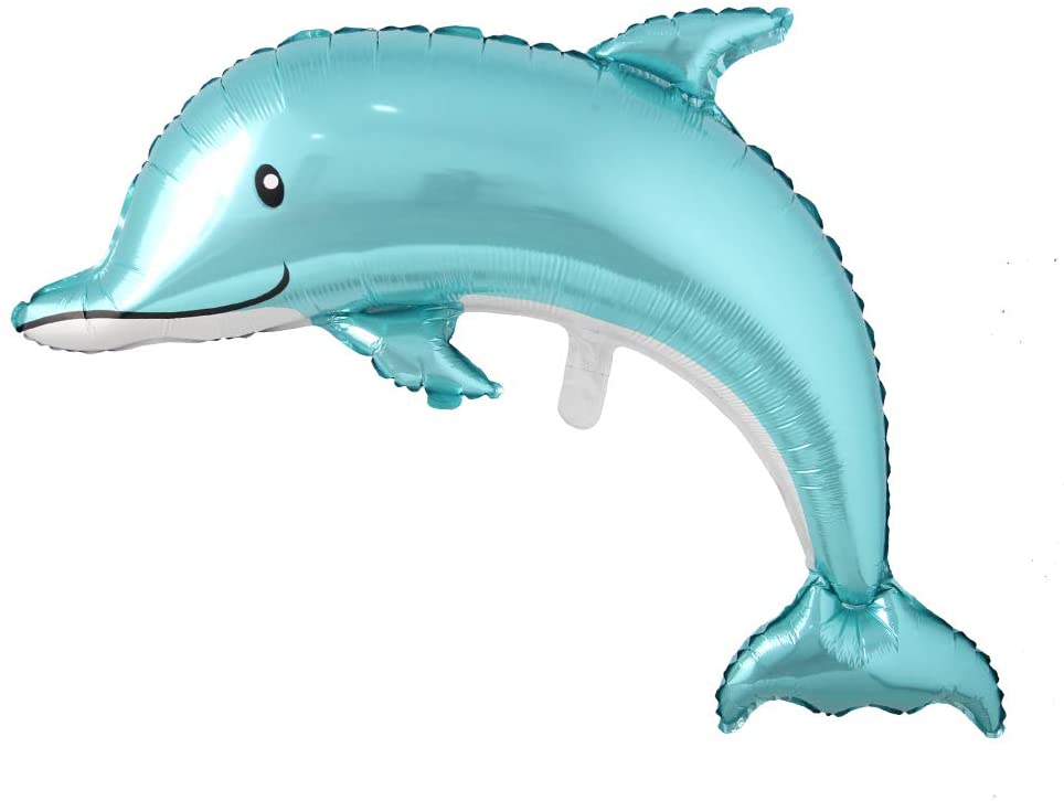 51sV80pC4pL._AC_SL1000_