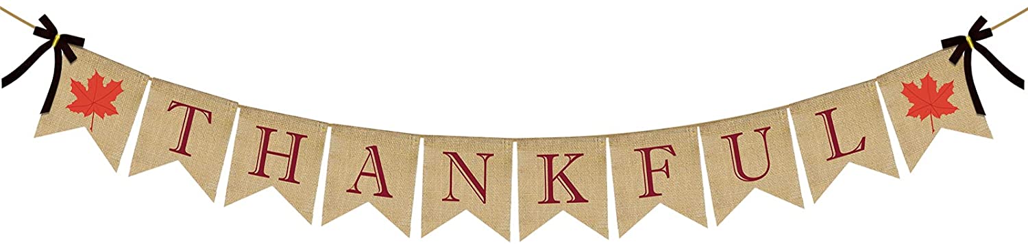 61ZIKJ-Id8L._AC_SL1500_