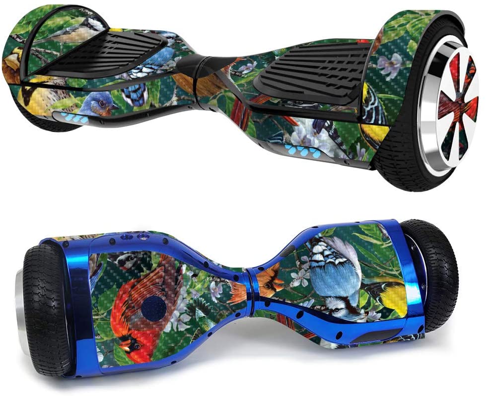 61aATBudfFL._AC_SL1000_