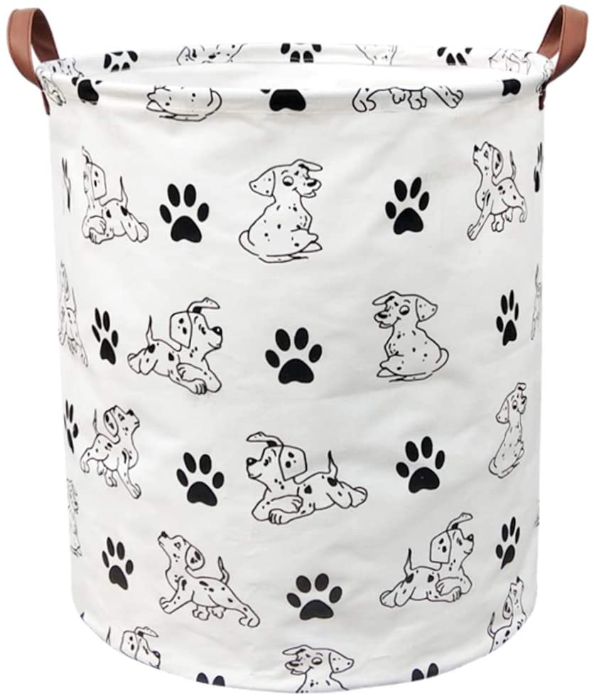 61ayJ7Sox5L._AC_SL1000_