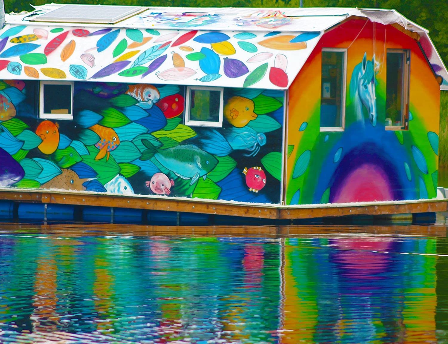 718Ay5oTjcL._AC_SL1500_