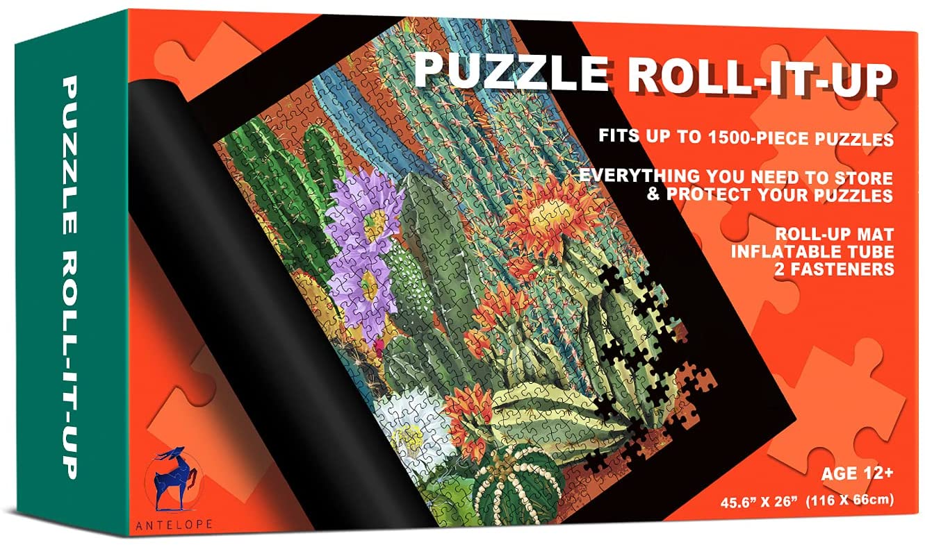 71C9Ai-q0L._AC_SL1500_