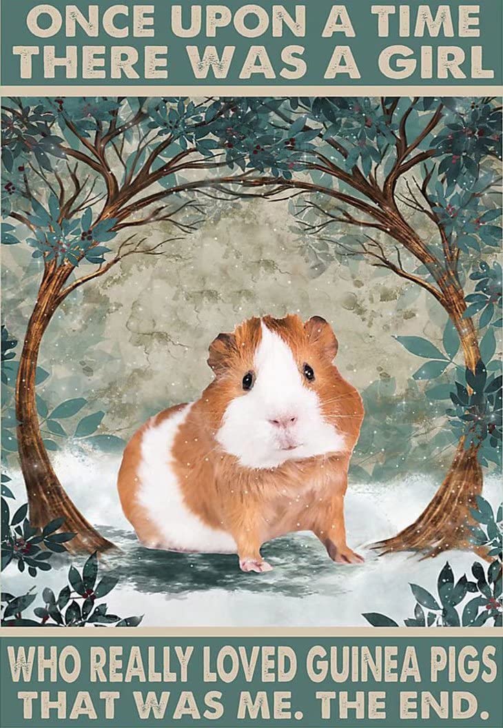 71jfOrpJFiL._AC_SL1056_