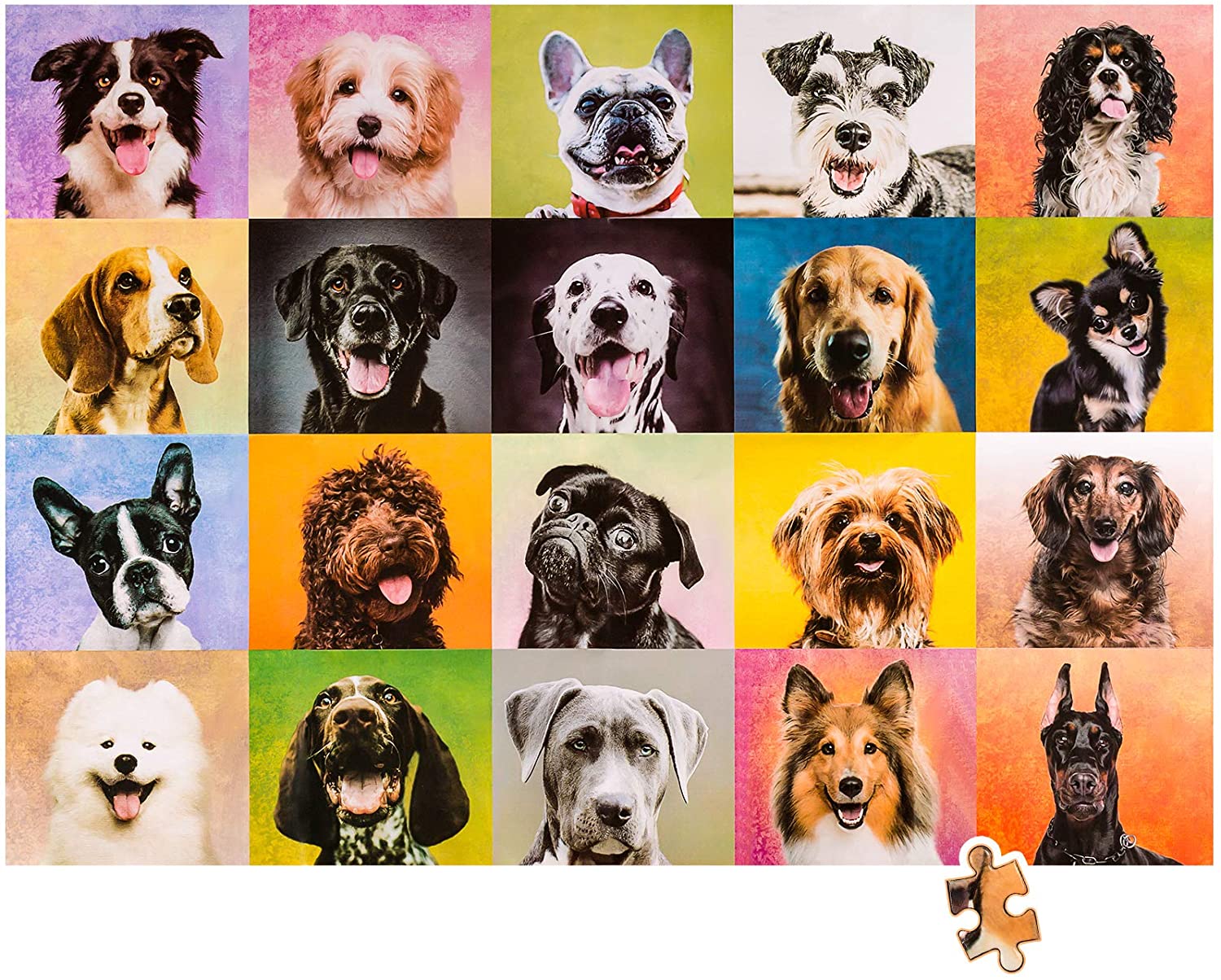 815K0mcCEVL._AC_SL1500_