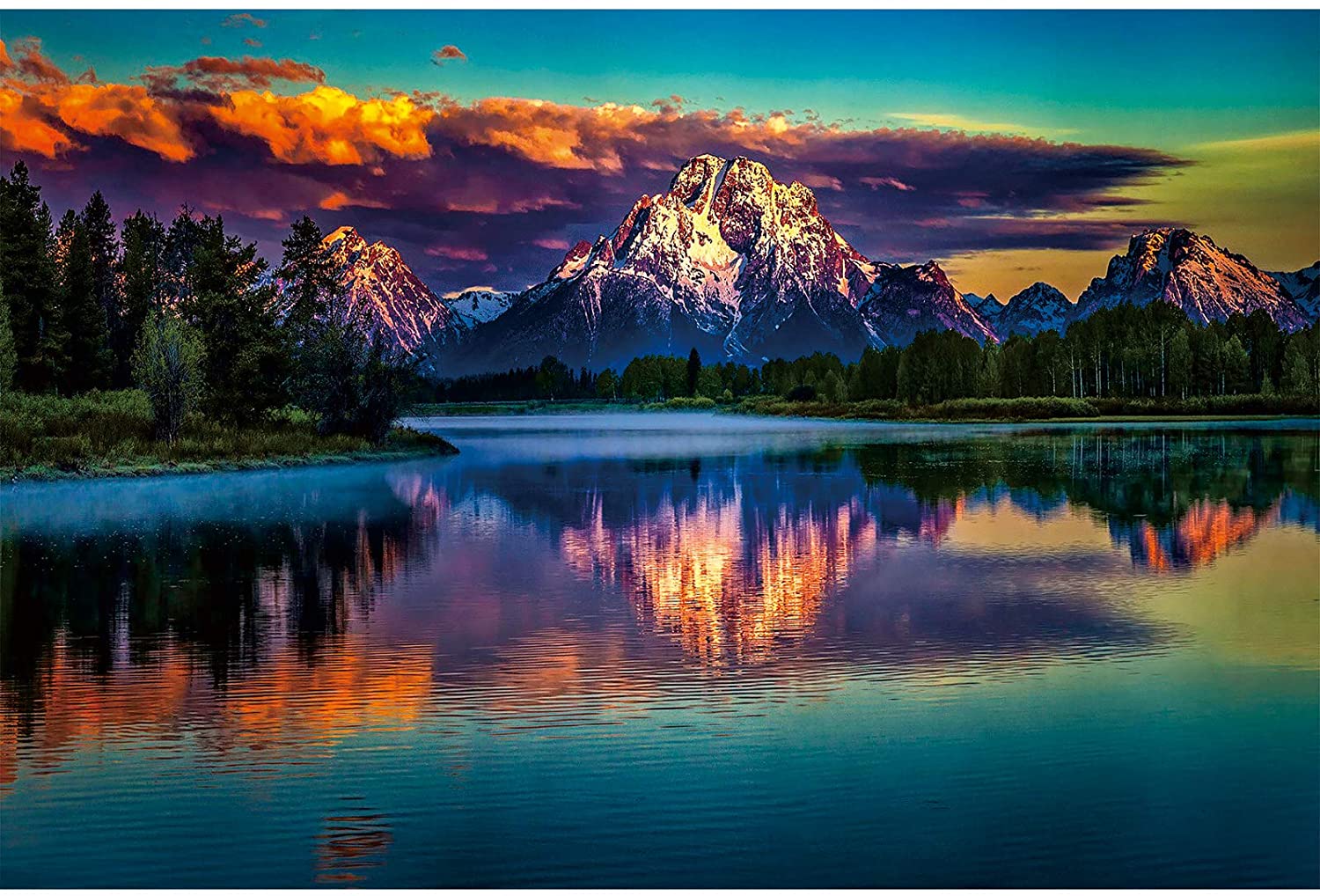 81KFN8IbTL._AC_SL1500_