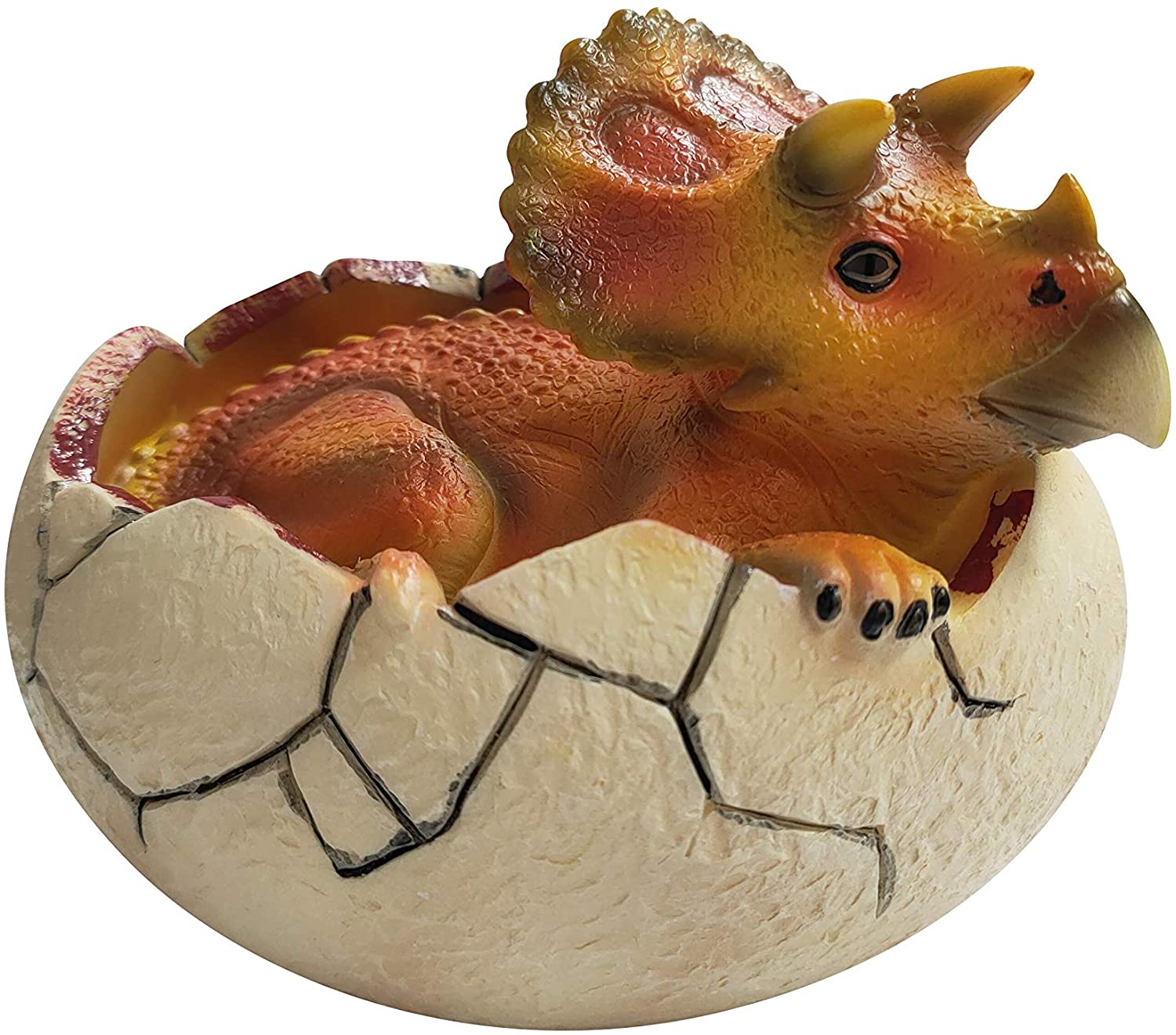 81eh-SmI-5L._AC_SL1500_