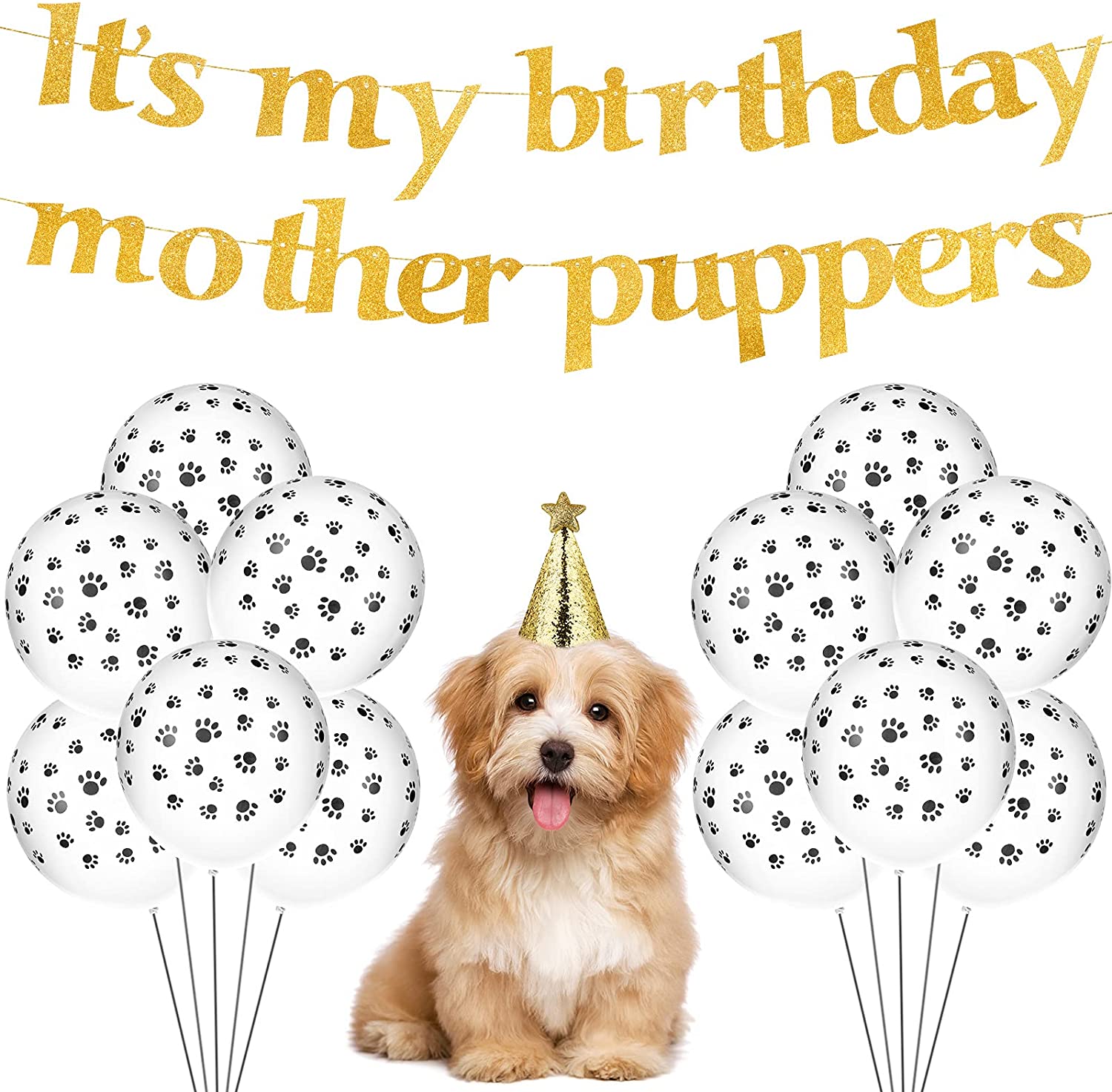 81uamLJ3QSS._AC_SL1500_